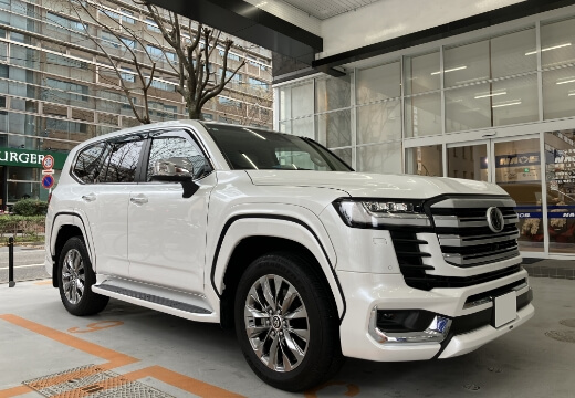 カーディテーリング画像_7